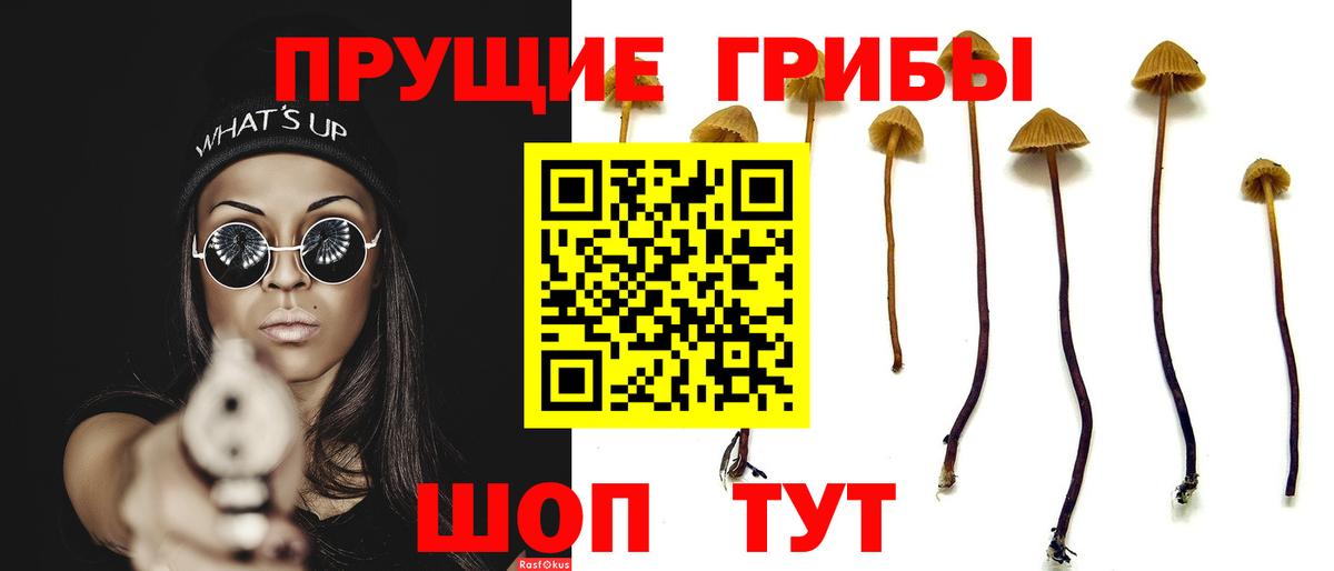 Псилоцибиновые грибы Psilocybe  купить наркоту  Тихорецк  Галлюциногенные грибы мицелий  Вход с VPN 